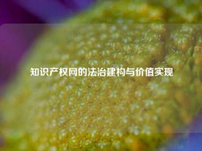 知识产权网的法治建构与价值实现