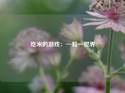 吃米的游戏：一粒一世界