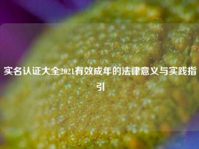 实名认证大全2021有效成年的法律意义与实践指引