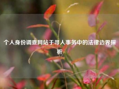 个人身份调查网站于寻人事务中的法律边界探析