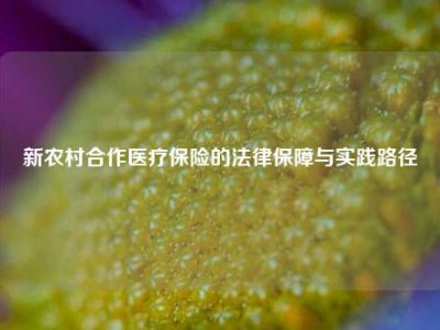 新农村合作医疗保险的法律保障与实践路径