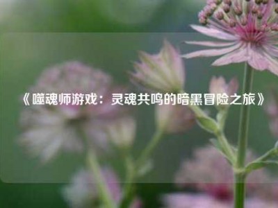 《噬魂师游戏：灵魂共鸣的暗黑冒险之旅》