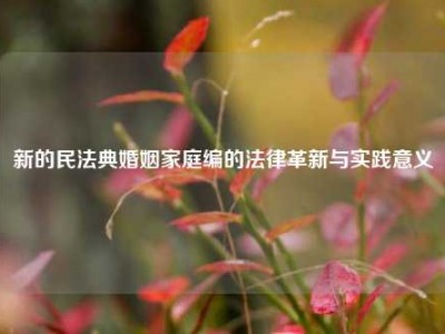 新的民法典婚姻家庭编的法律革新与实践意义