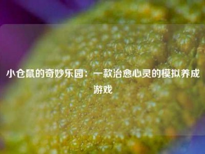 小仓鼠的奇妙乐园：一款治愈心灵的模拟养成游戏