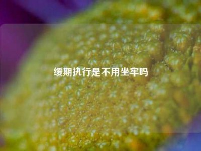 缓期执行是不用坐牢吗