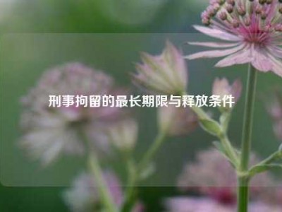 刑事拘留的最长期限与释放条件