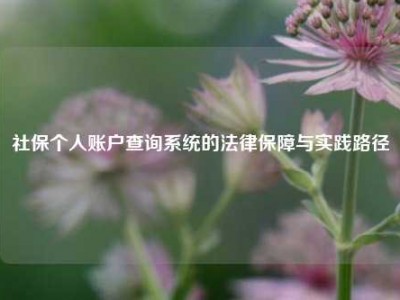 社保个人账户查询系统的法律保障与实践路径