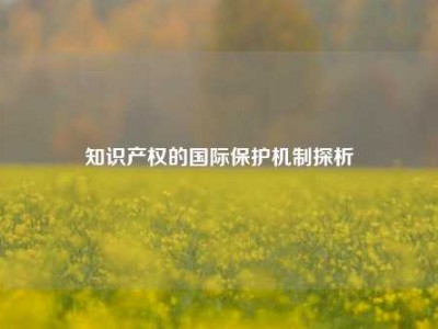 知识产权的国际保护机制探析