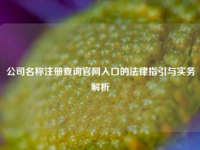 公司名称注册查询官网入口的法律指引与实务解析