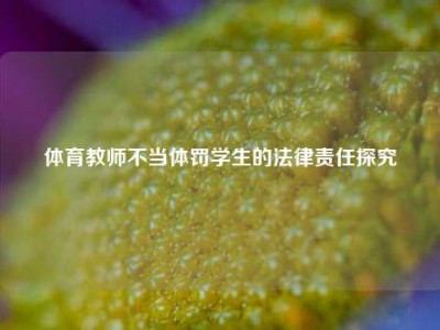 体育教师不当体罚学生的法律责任探究