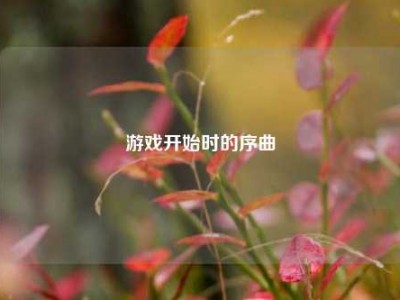 游戏开始时的序曲