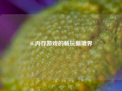 4G内存游戏的畅玩新境界