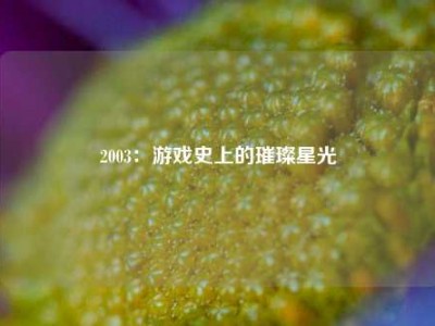 2003：游戏史上的璀璨星光