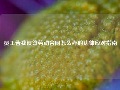 员工告我没签劳动合同怎么办的法律应对指南