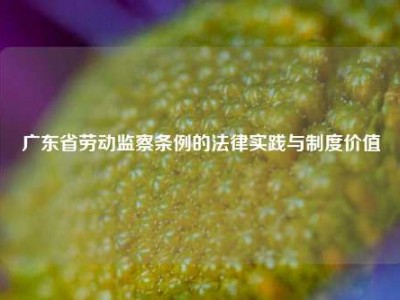 广东省劳动监察条例的法律实践与制度价值