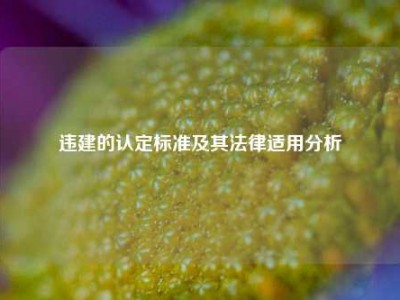 违建的认定标准及其法律适用分析