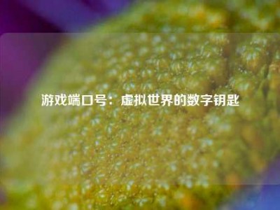 游戏端口号：虚拟世界的数字钥匙