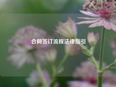 合同签订流程法律指引