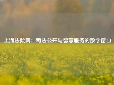 上海法院网：司法公开与智慧服务的数字窗口