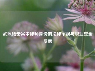 武汉枪击案中律师身份的法律审视与职业安全反思