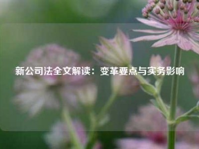 新公司法全文解读：变革要点与实务影响
