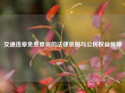 交通违章免费查询的法律依据与公民权益保障