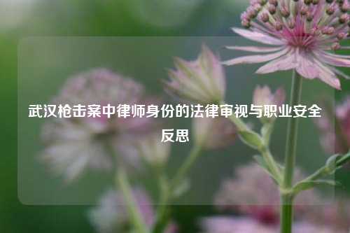 武汉枪击案中律师身份的法律审视与职业安全反思