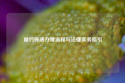 履约保函办理流程与法律实务指引