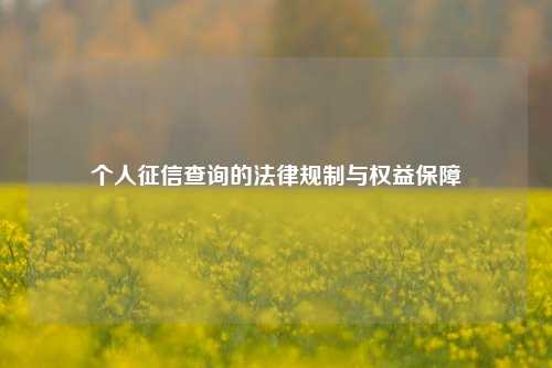 个人征信查询的法律规制与权益保障