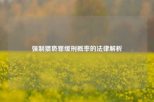 强制猥亵罪缓刑概率的法律解析