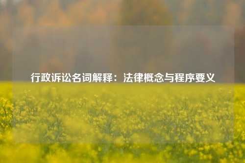 行政诉讼名词解释：法律概念与程序要义