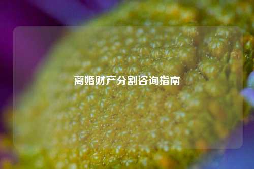 离婚财产分割咨询指南