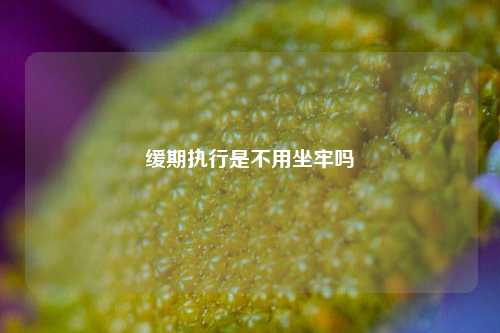缓期执行是不用坐牢吗