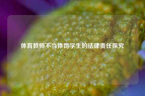 体育教师不当体罚学生的法律责任探究