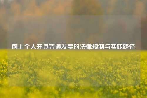 网上个人开具普通发票的法律规制与实践路径