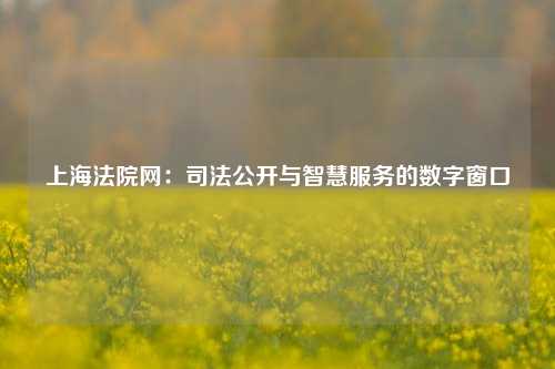 上海法院网:司法公开与智慧服务的数字窗口