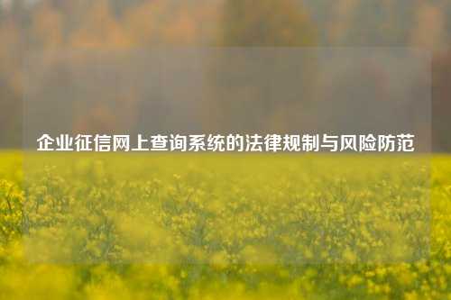 企业征信网上查询系统的法律规制与风险防范
